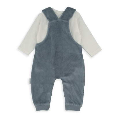 Conjunto Peto Oso
