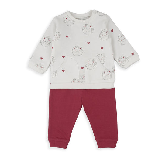 Conjunto Erizos
