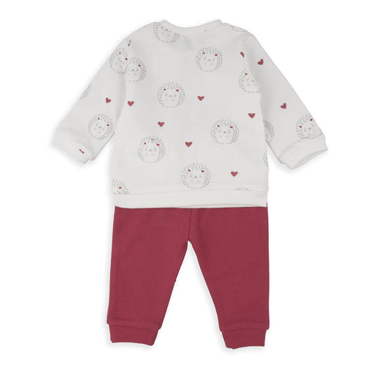 Conjunto Erizos