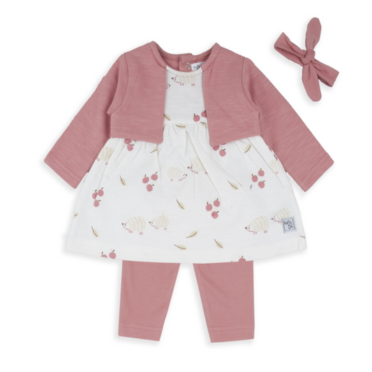 Conjunto Leggins Familia Erizos