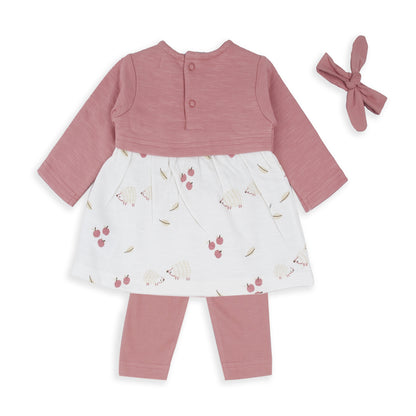 Conjunto Leggins Familia Erizos