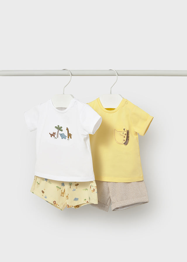 Set Conjunto Animals