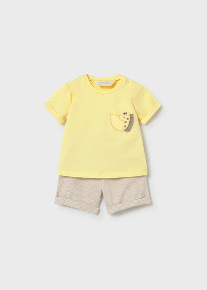 Set Conjunto Animals