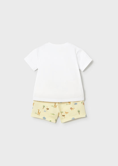 Set Conjunto Animals