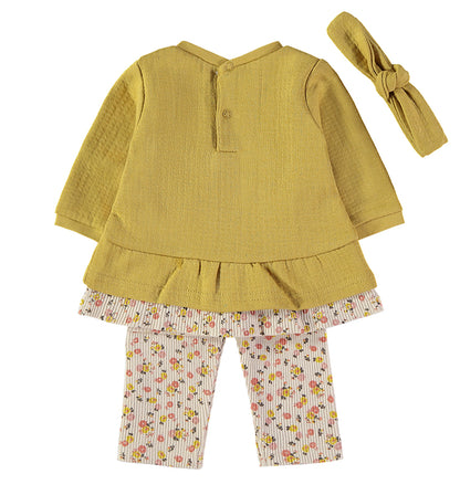 Conjunto Pradera Dorada