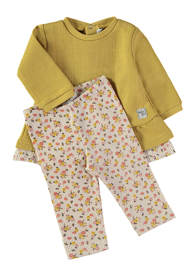 Conjunto Pradera Dorada