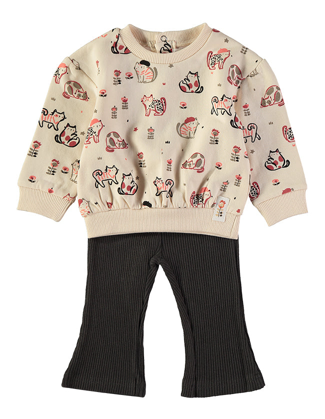 Conjunto Mini Cats