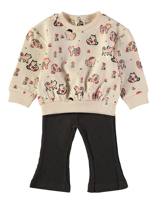 Conjunto Mini Cats