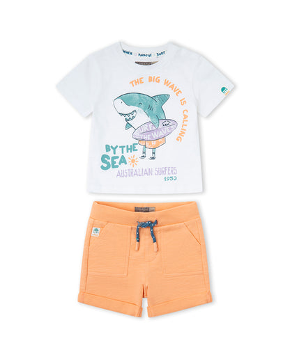 Conjunto Tiburon Surfero