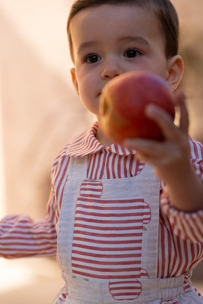 Conjunto Peto Manzanas Rayas Niño