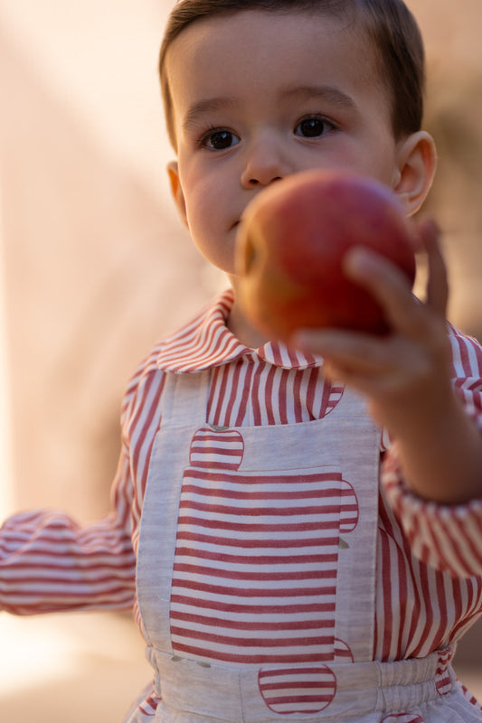 Conjunto Peto Manzanas Rayas Niño