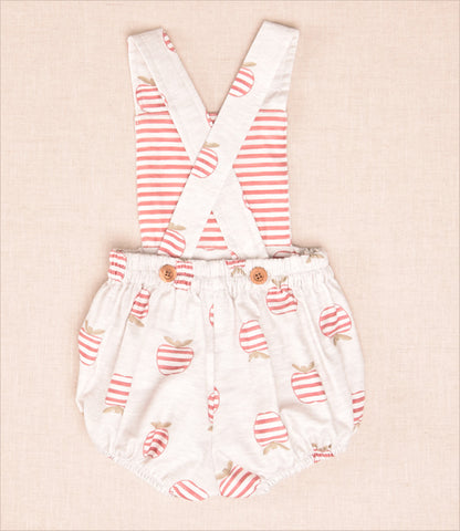 Conjunto Peto Manzanas Rayas Niño