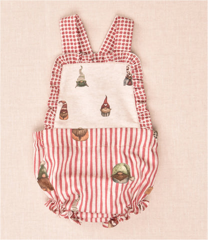 Conjunto Peto Camisa Gnomos