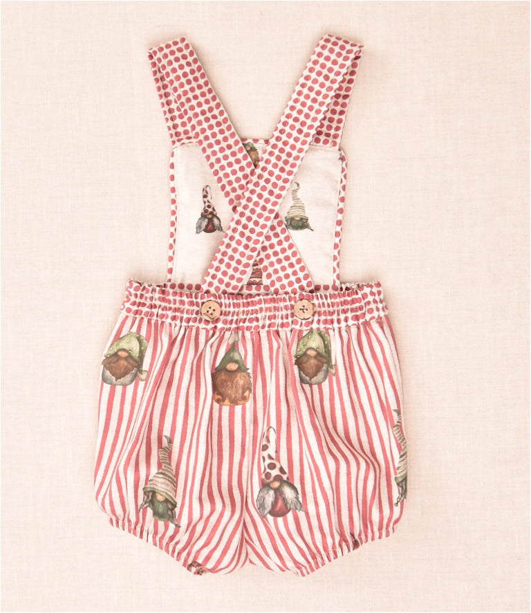 Conjunto Gnomos Niño
