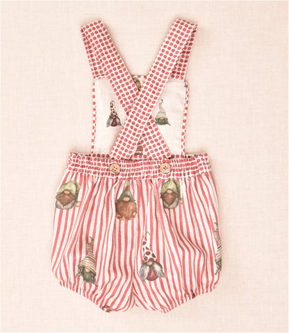 Conjunto Gnomos Niño