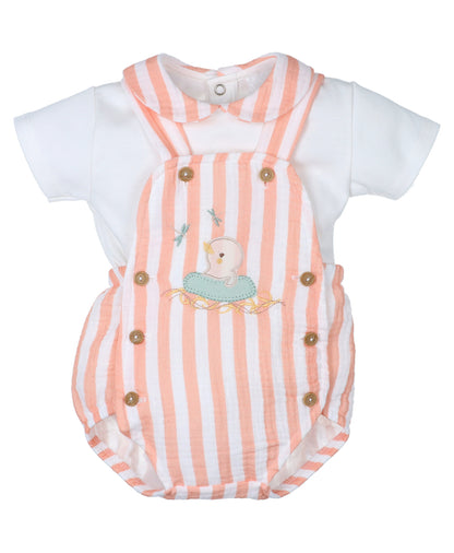 Conjunto Niño Libelula Pio
