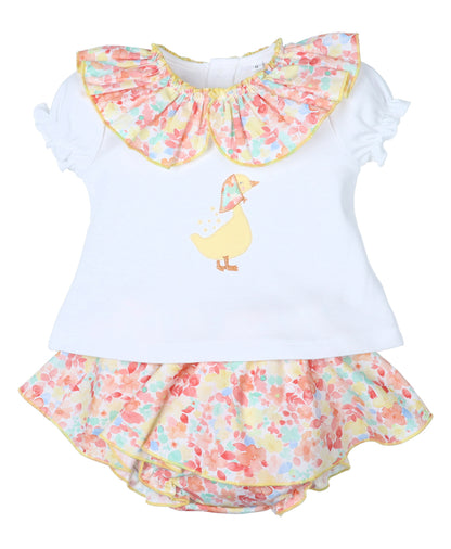 Conjunto Pato Pañuelo