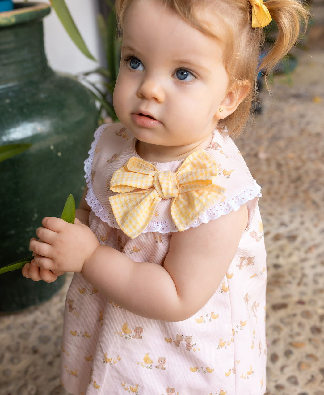 Jesusito Pollito Mimoso