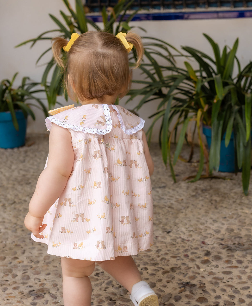 Jesusito Pollito Mimoso