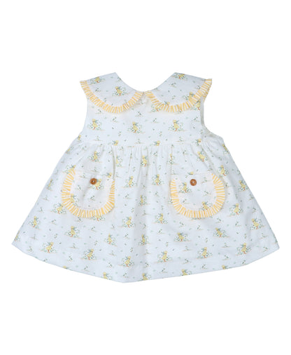 Vestido Susurro de Pato