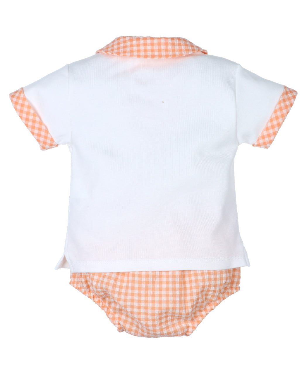 Conjunto Niño Calabaza