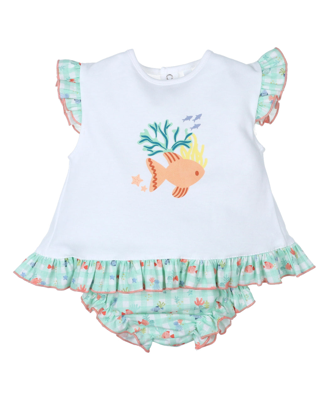 Conjunto Arrecife