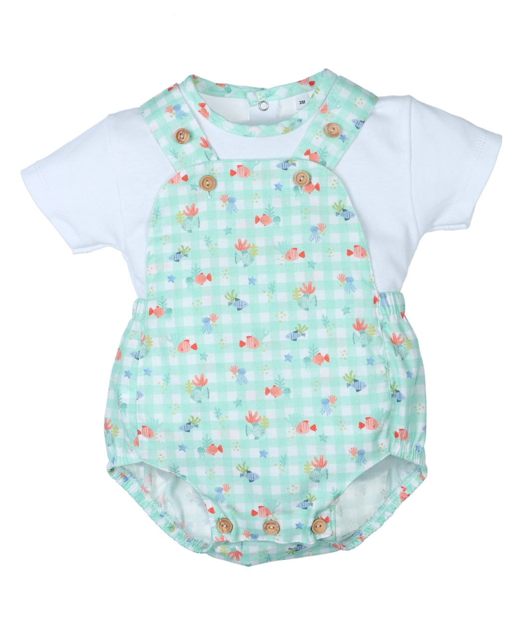Conjunto Niño Arrecife