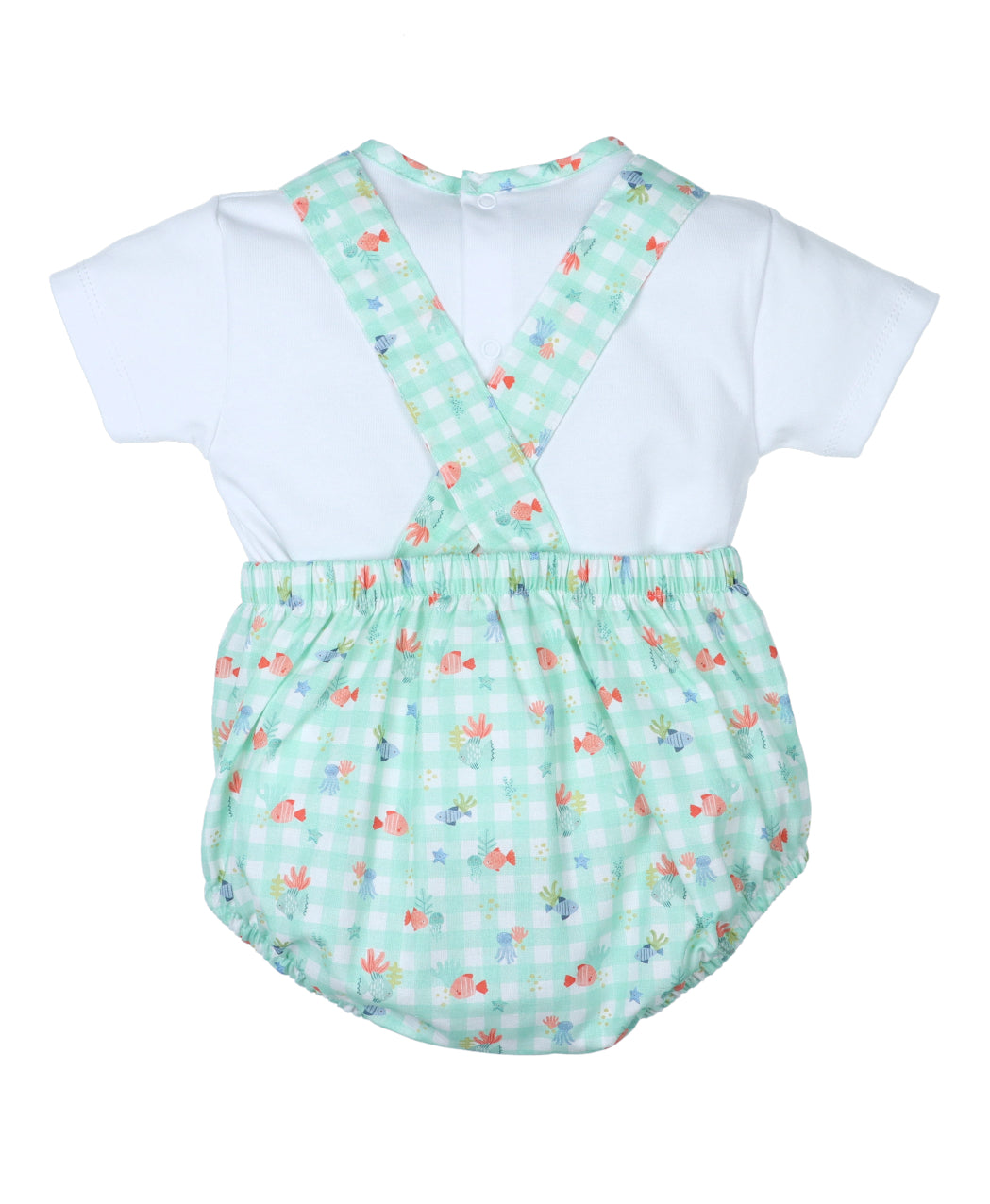 Conjunto Niño Arrecife