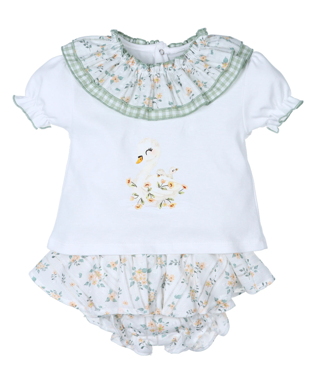 Conjunto Cisne