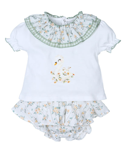 Conjunto Cisne
