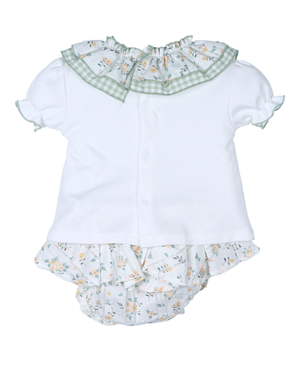 Conjunto Cisne