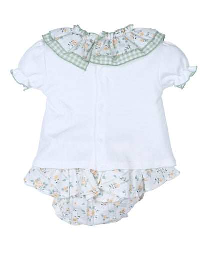 Conjunto Cisne