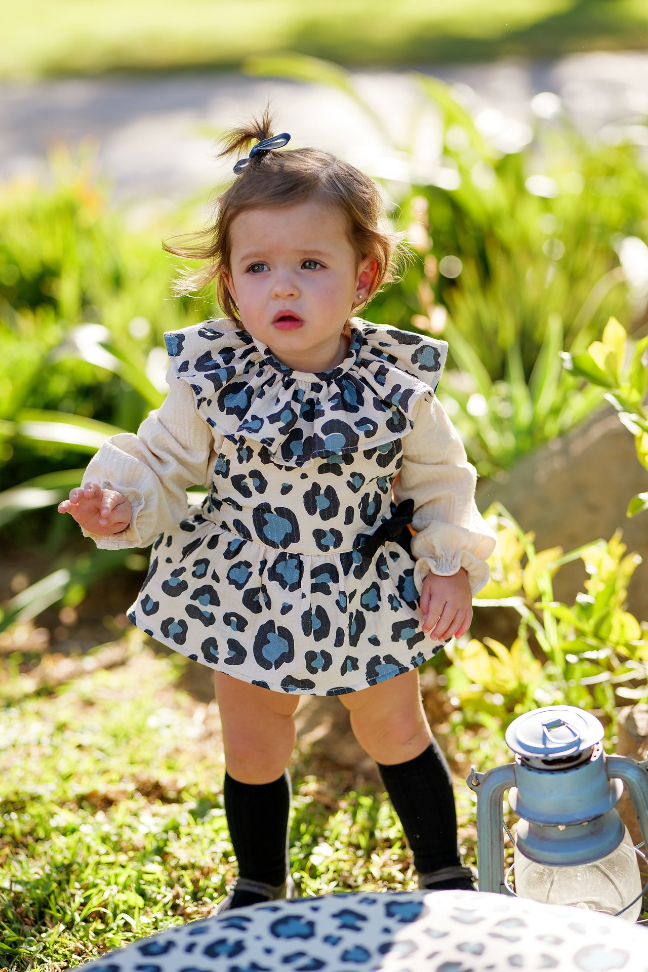 Conjunto Sudadera Niño Animal Print Cocote