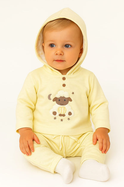 Conjunto Sheep