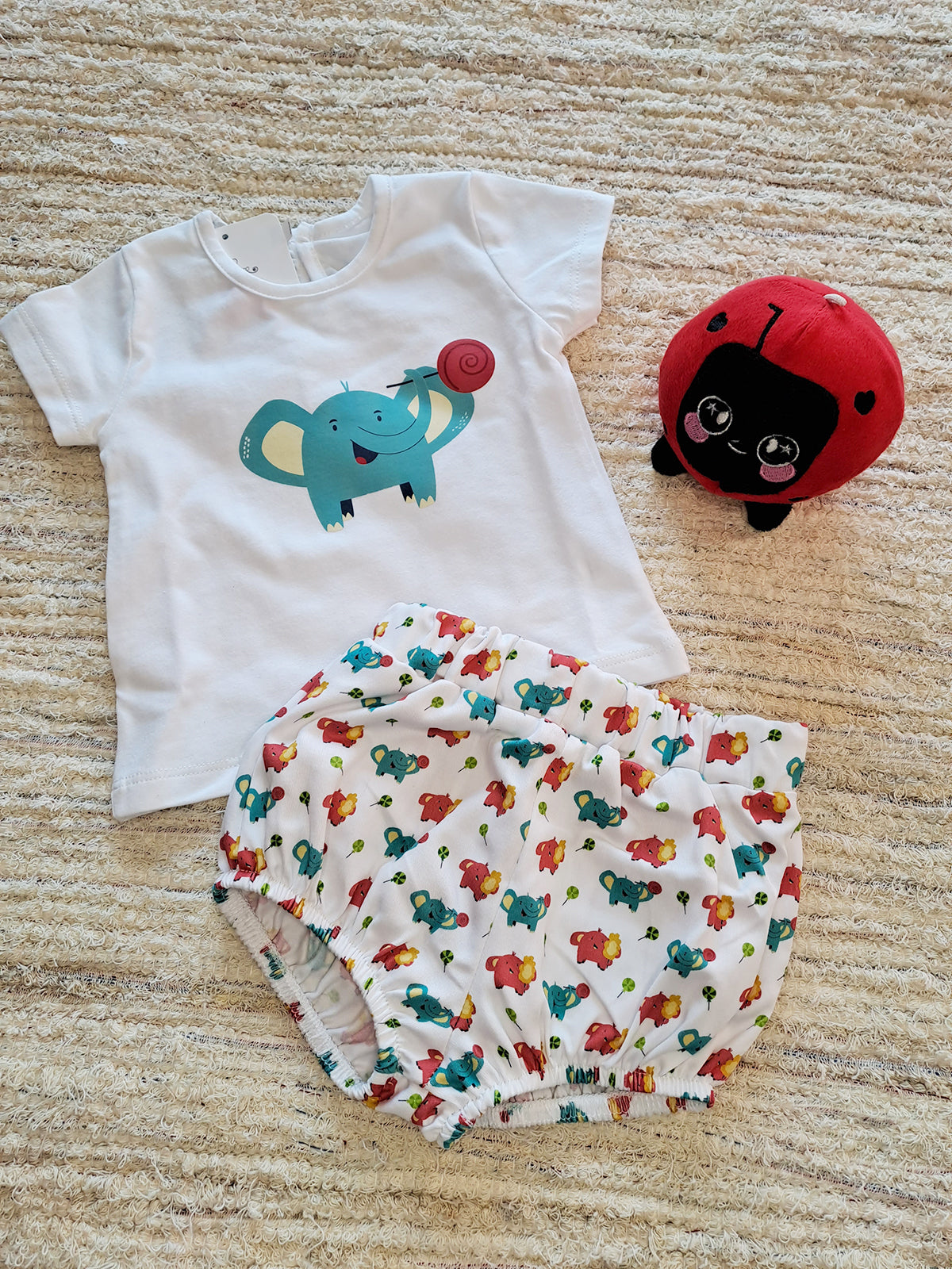 Conjunto Niño Elefante